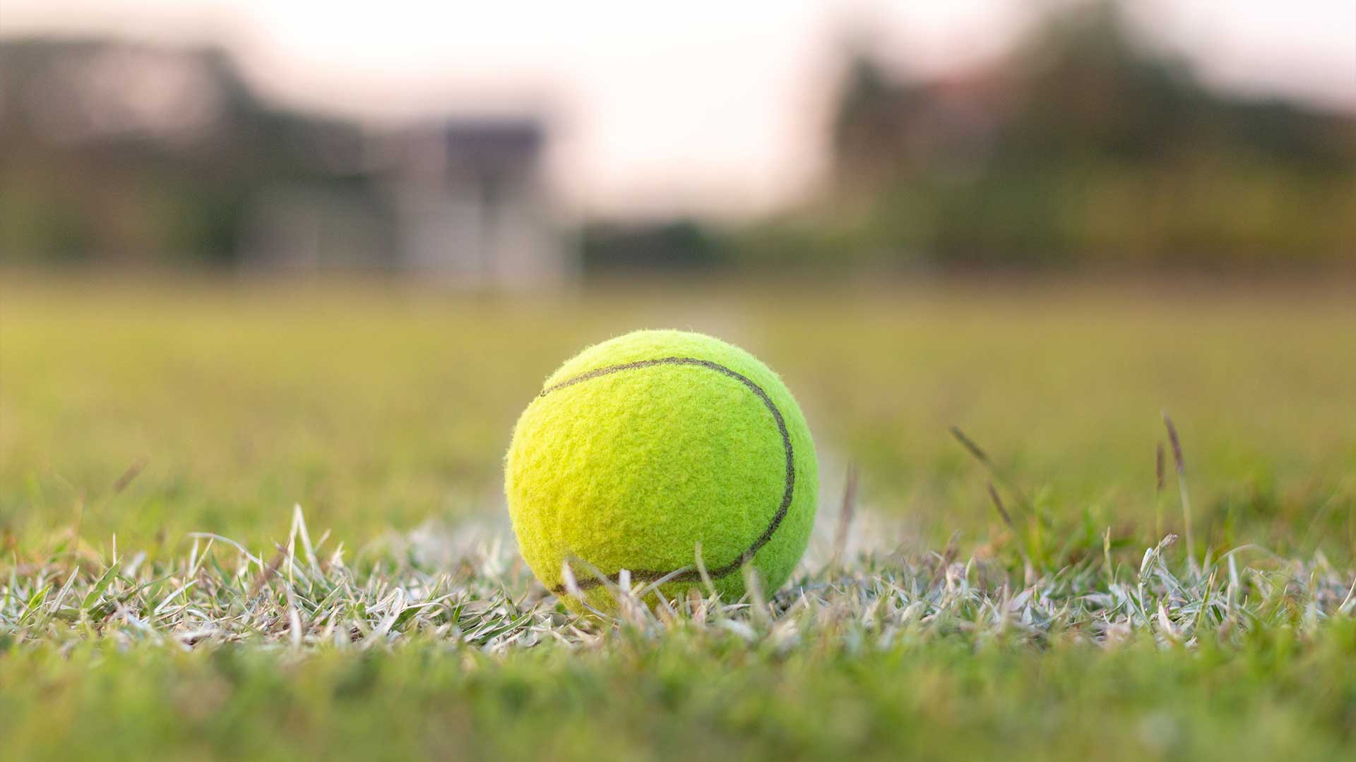 Guide to Lawn Tennis: Rules, History, and Stars – Grass Tennis Club