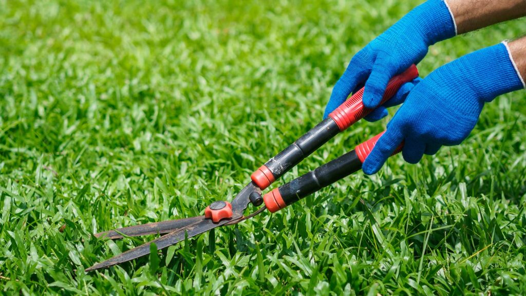 Grass Court Maintenance