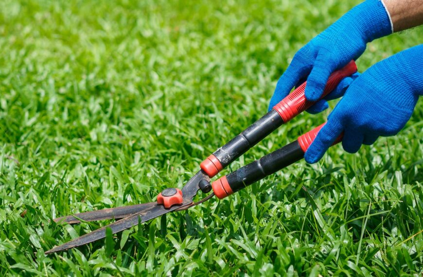 Grass Court Maintenance