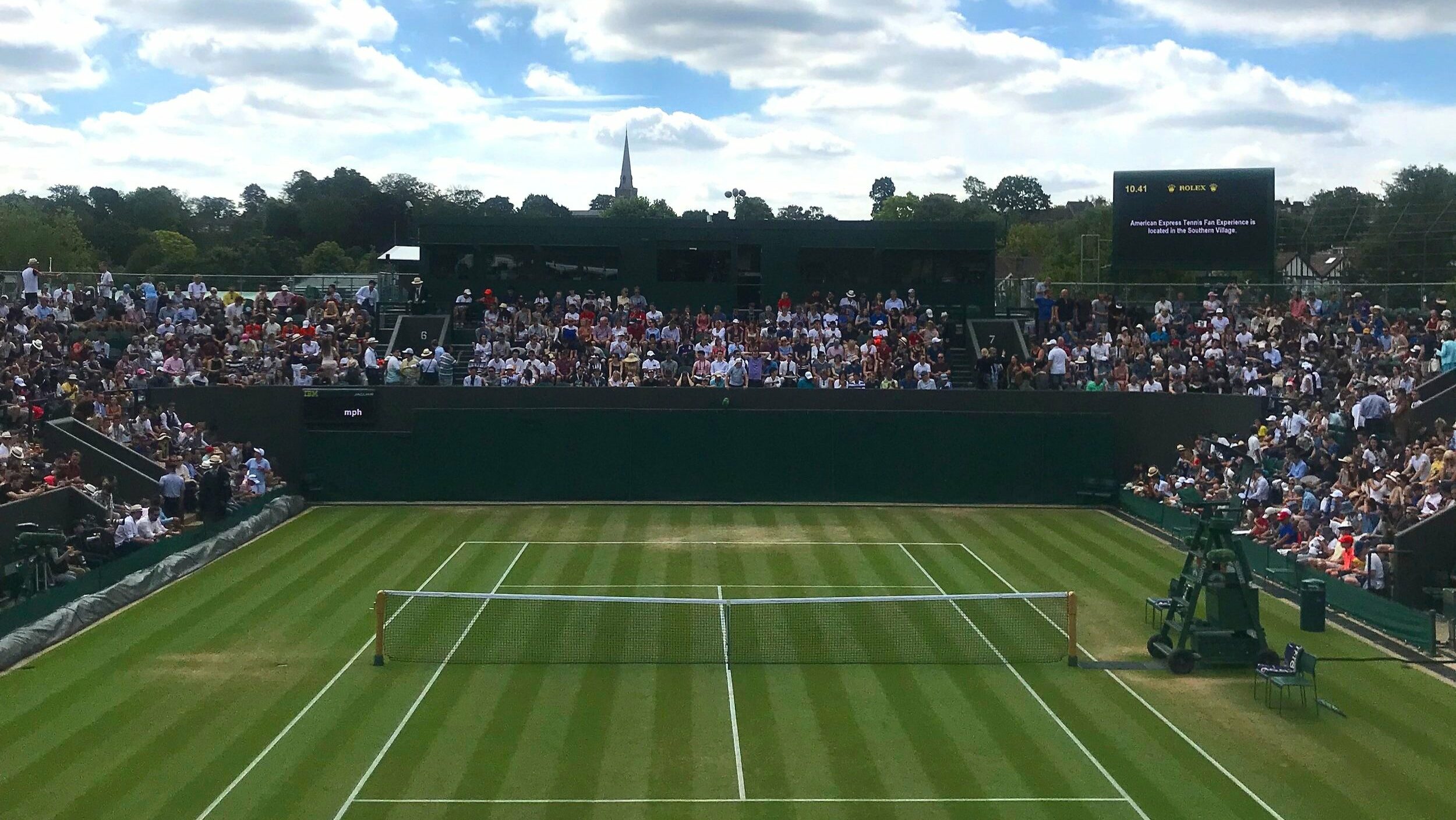 Wimbledon grass