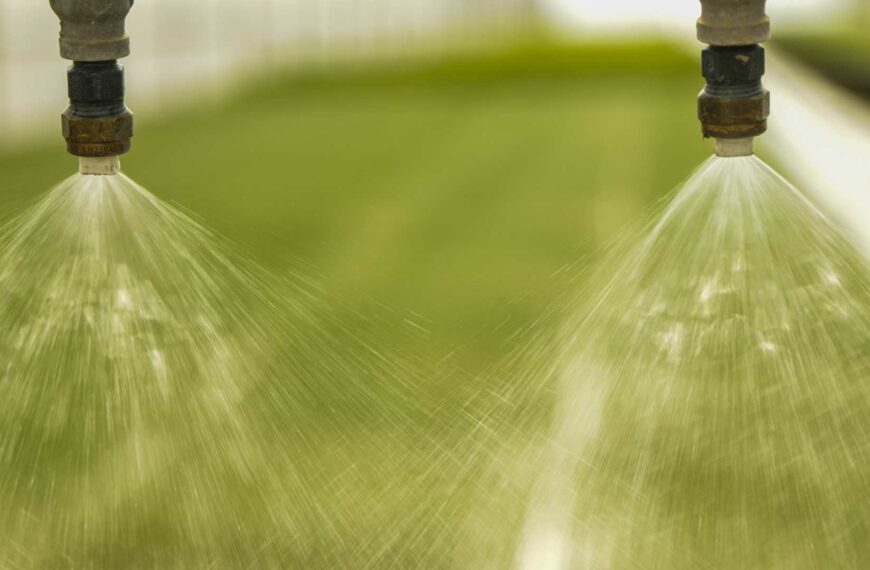 Grass Tennis Court Irrigation