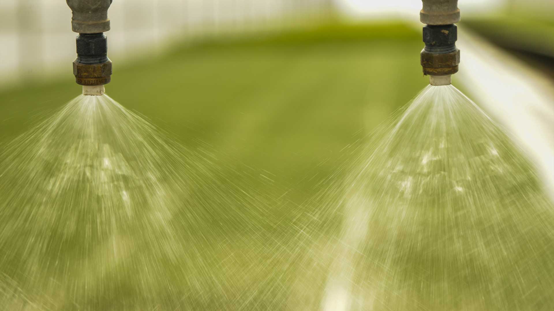 Grass Tennis Court Irrigation