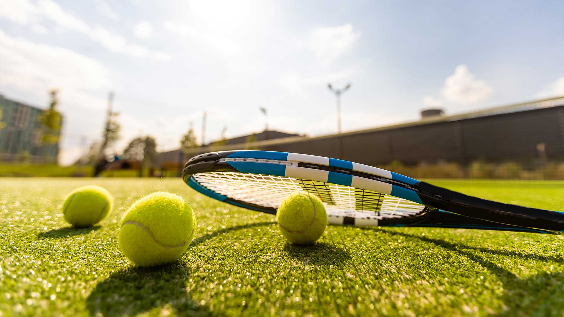 Grass Court Surface