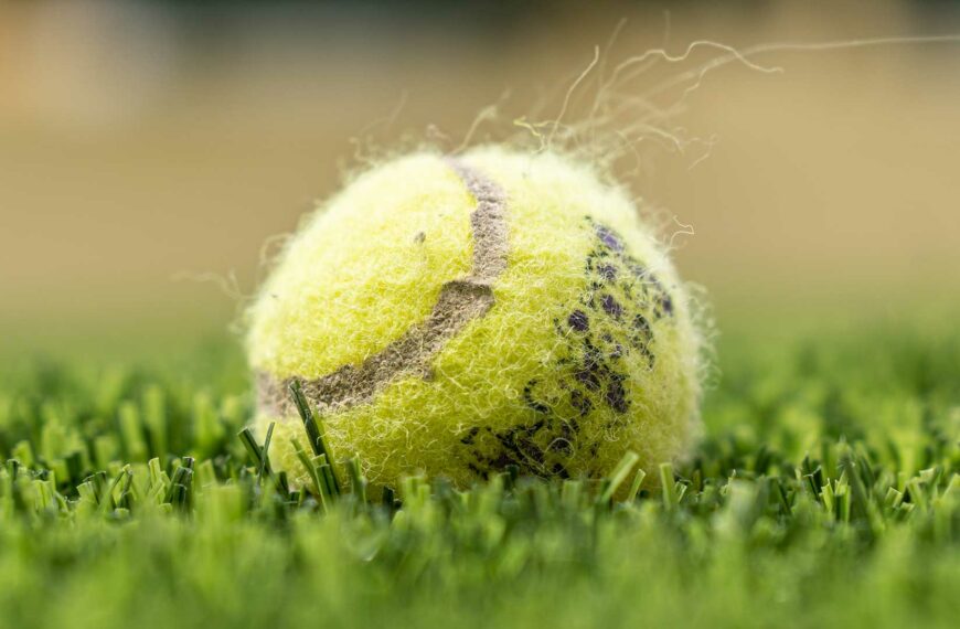 Grass Tennis Court Turf