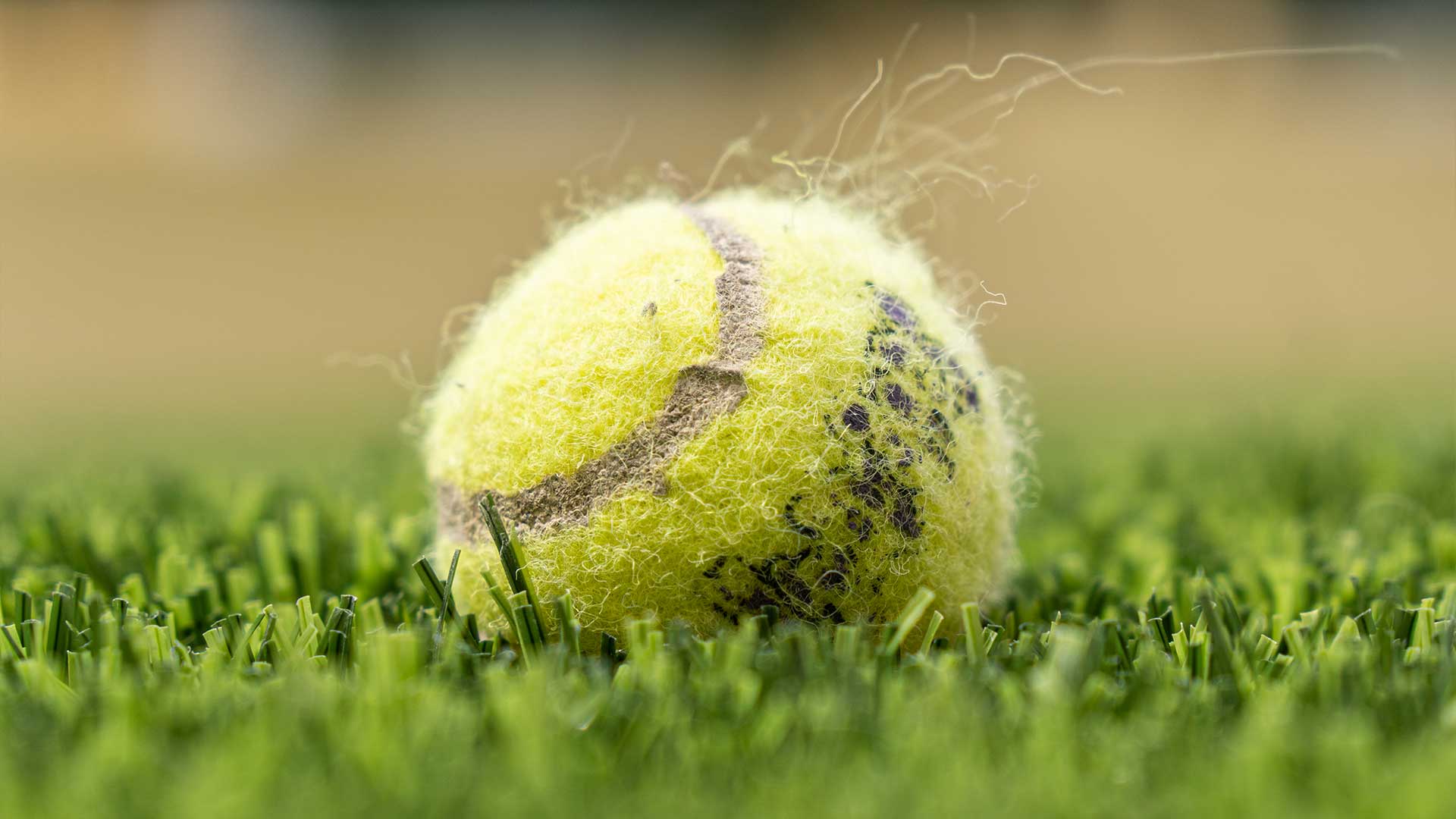 Grass Tennis Court Turf