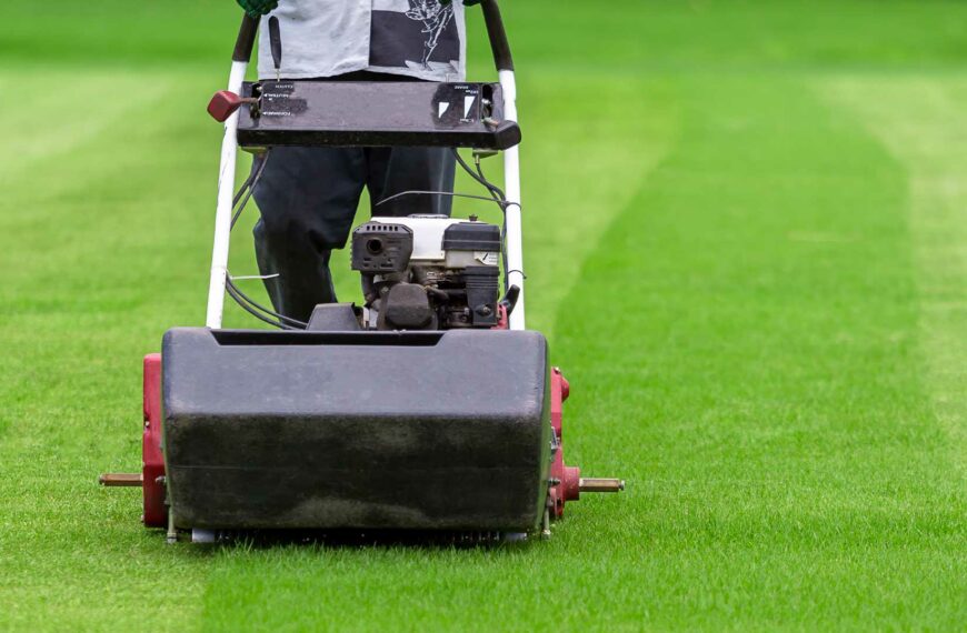 How to Choose a Mower for Your Grass Tennis Club