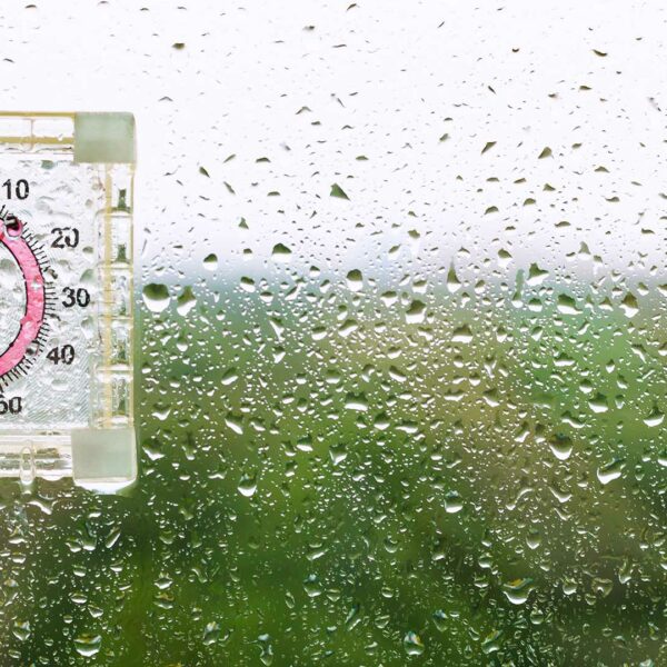 optimal moisture level for grass tennis courts