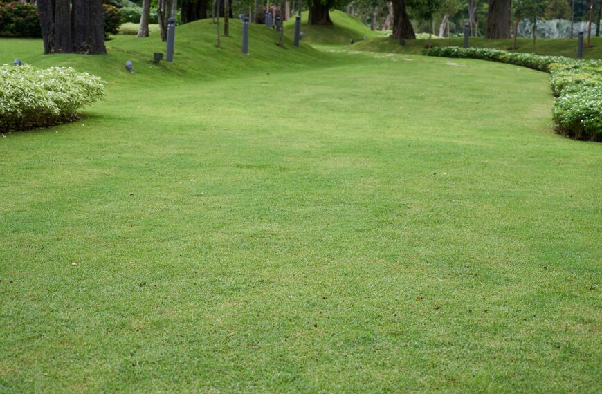 Tennis Court Slope